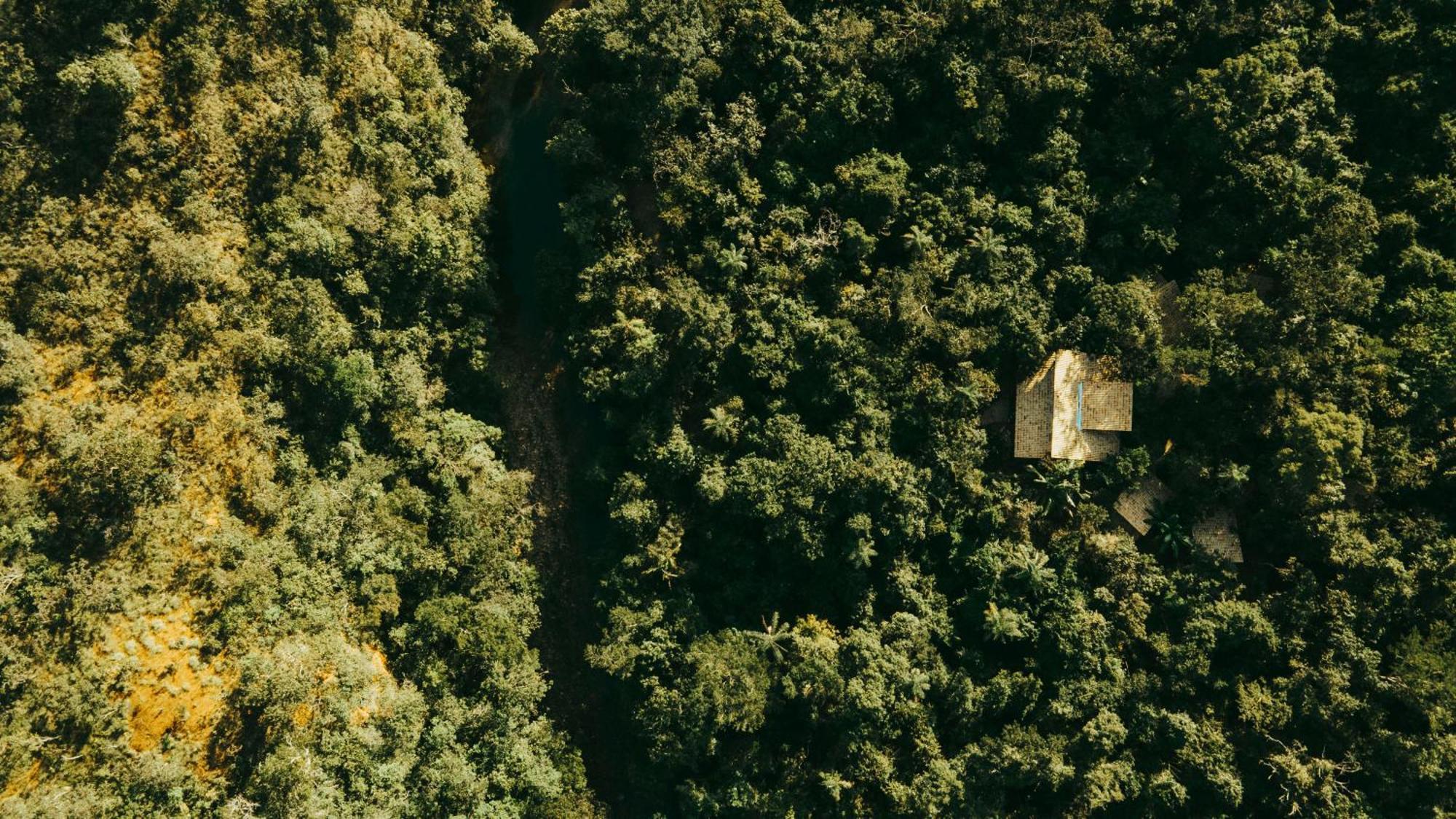 Floresta - Chale Pato Mergulhao Chalé Alto Paraíso de Goiás